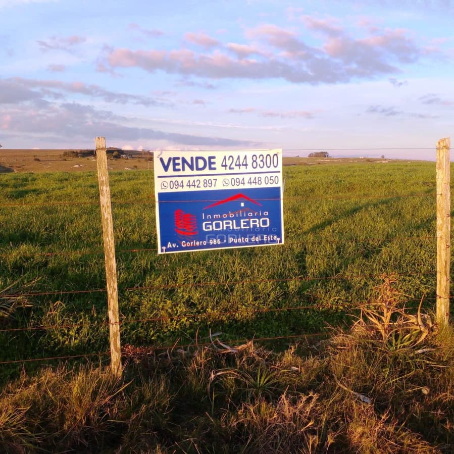 Venta de chacra sobre Ruta 12 al Norte de Pueblo Edén