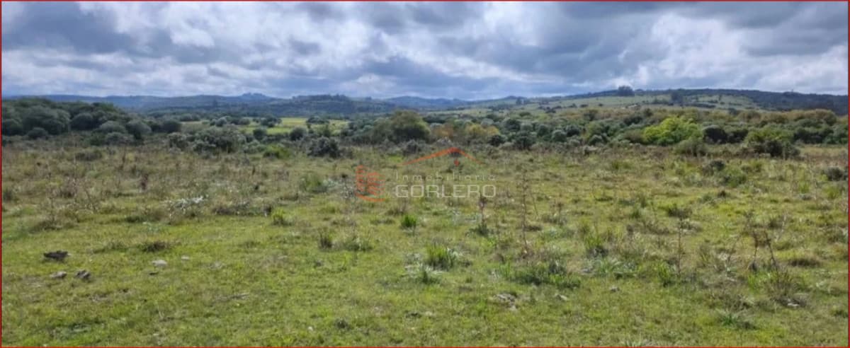 Venta de chacras zona Pueblo Edén, Ruta 12 a pocos km - Inmobiliaria Gorlero