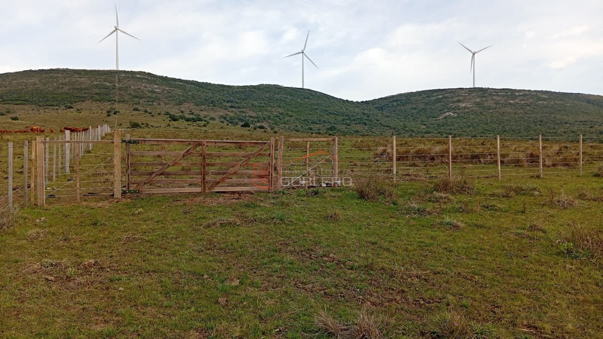Venta de chacras en Maldonado, Sierra de los Caracoles 5 y 6 hás - Inmobiliaria Gorlero