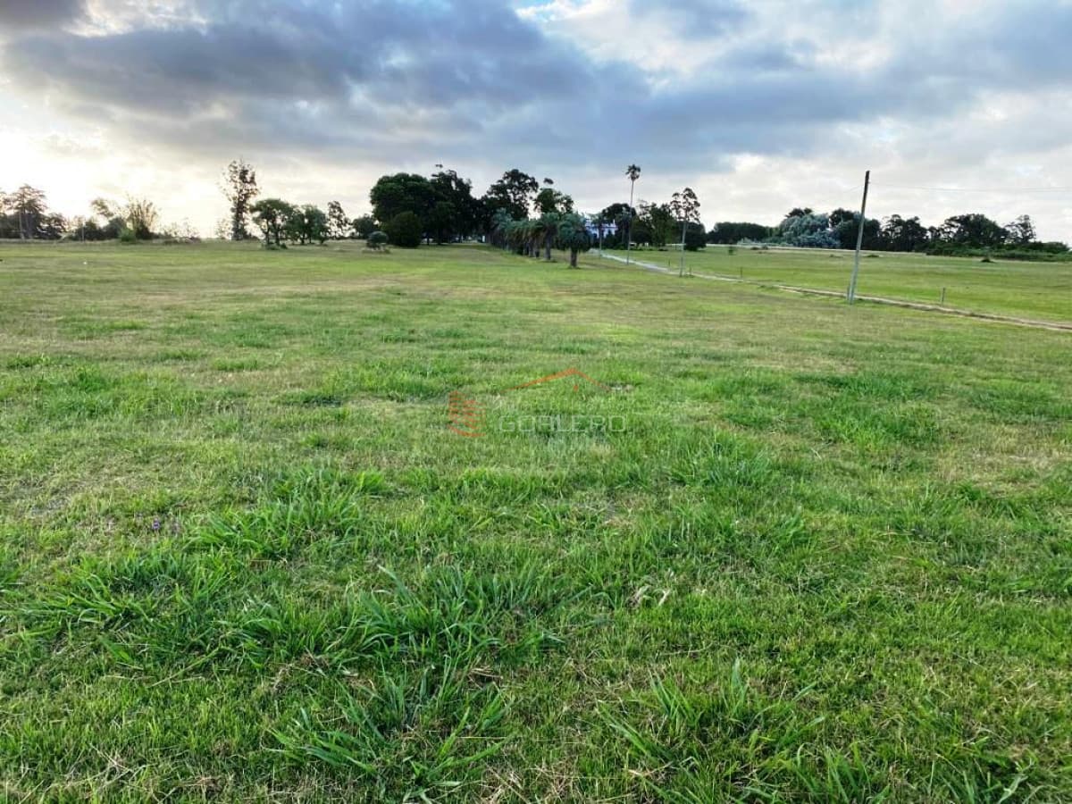Excelente terreno a la venta a pocos km de Punta del Este y Maldonado, ideal logísitca - Inmobiliaria Gorlero
