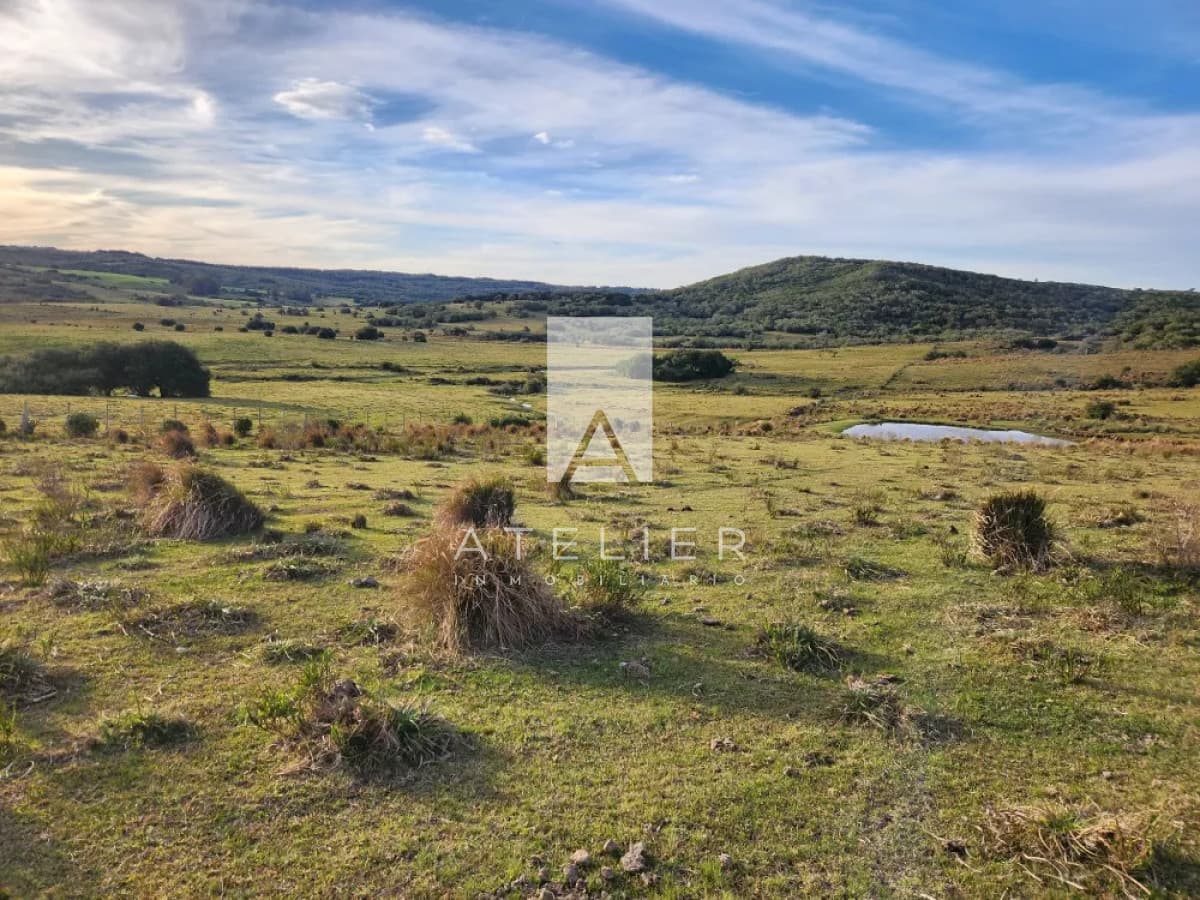 Campo próximo a Garzón