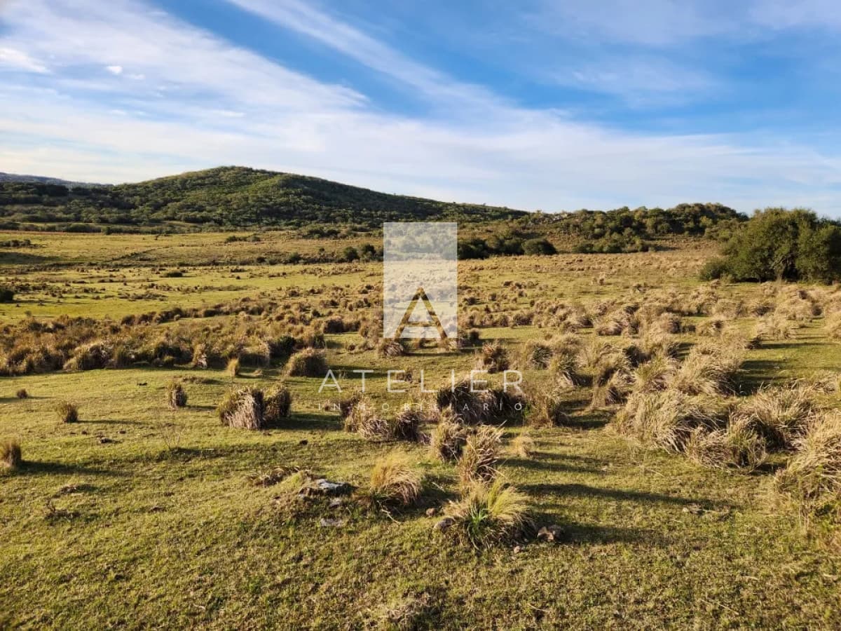 Campo próximo a Garzón