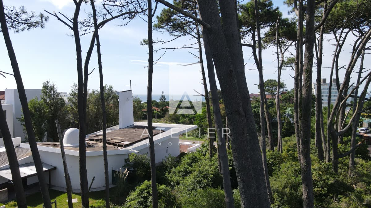 NIRVANA BOSQUE