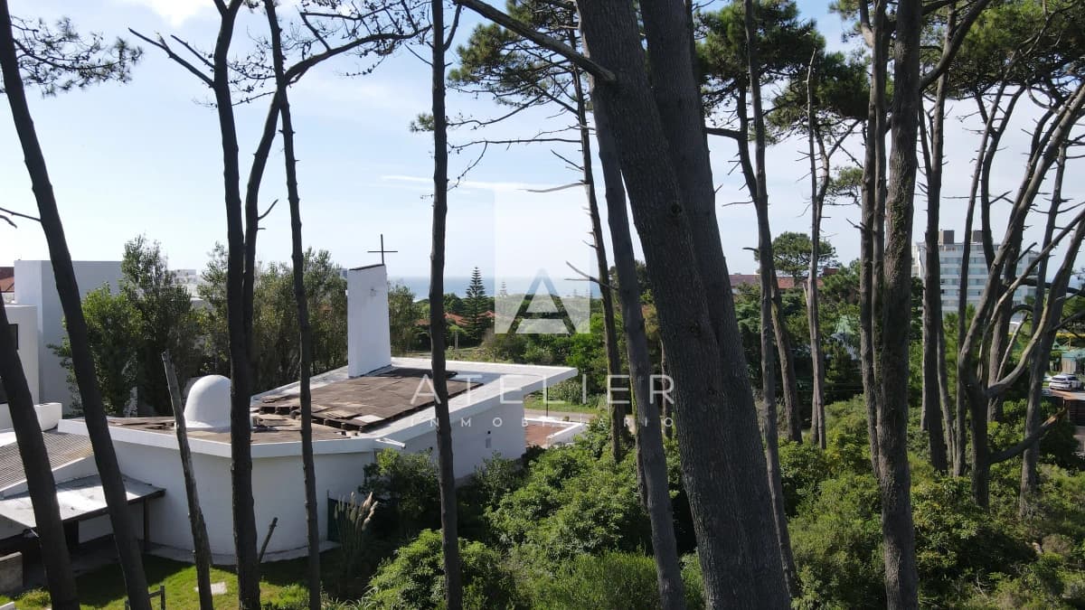 NIRVANA BOSQUE