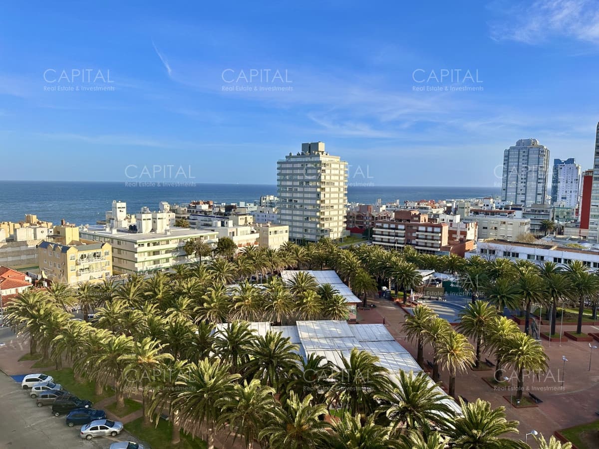 Apartamento en Peninsula 1 dormitorio