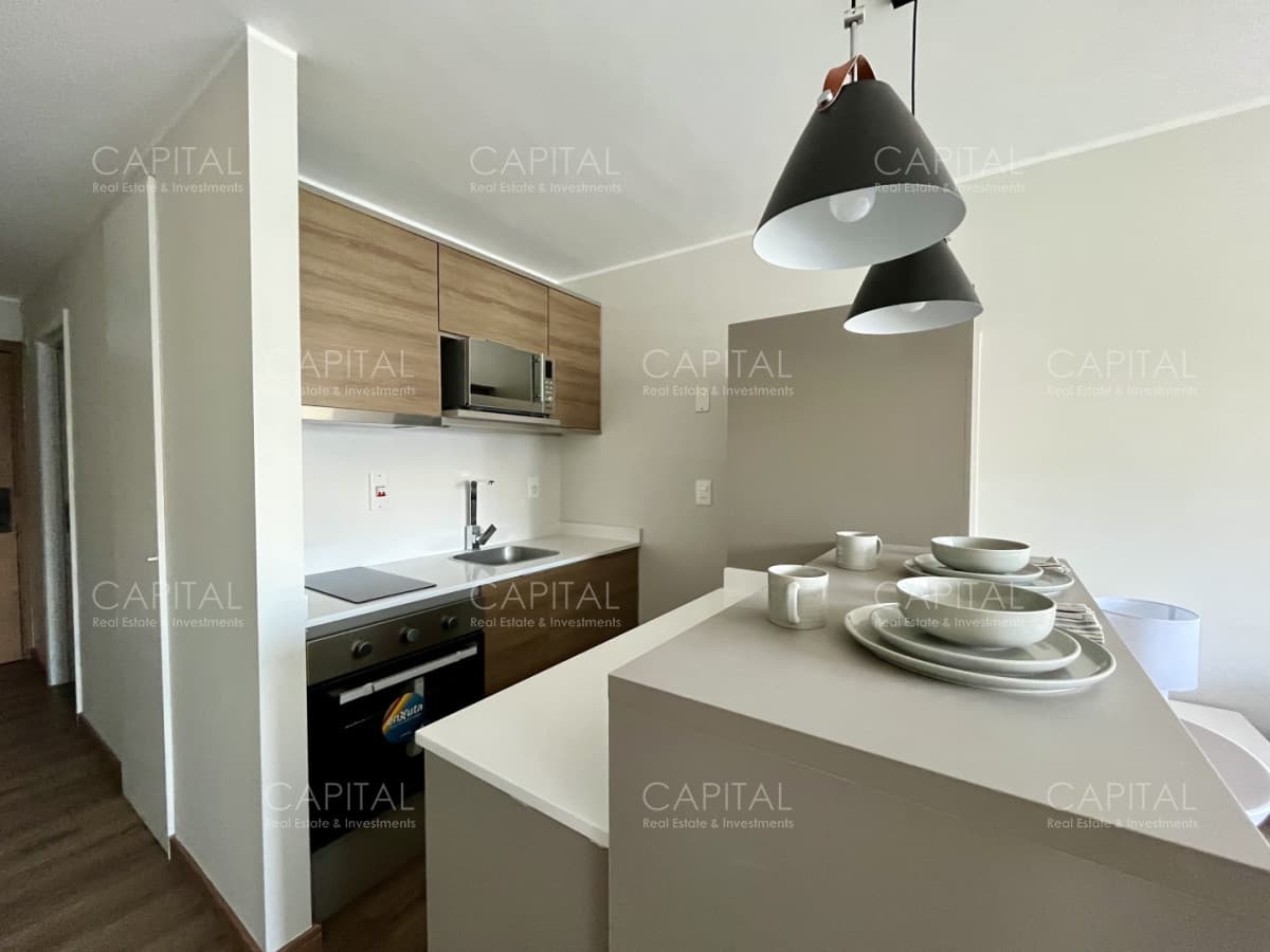 Apartamento Monoambiente amueblado Pocitos