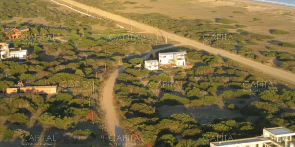Casa en José Ignacio en alquiler