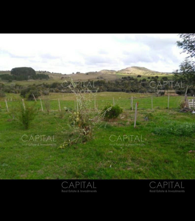 Campo de 39 hectareas en venta en Aiguá
