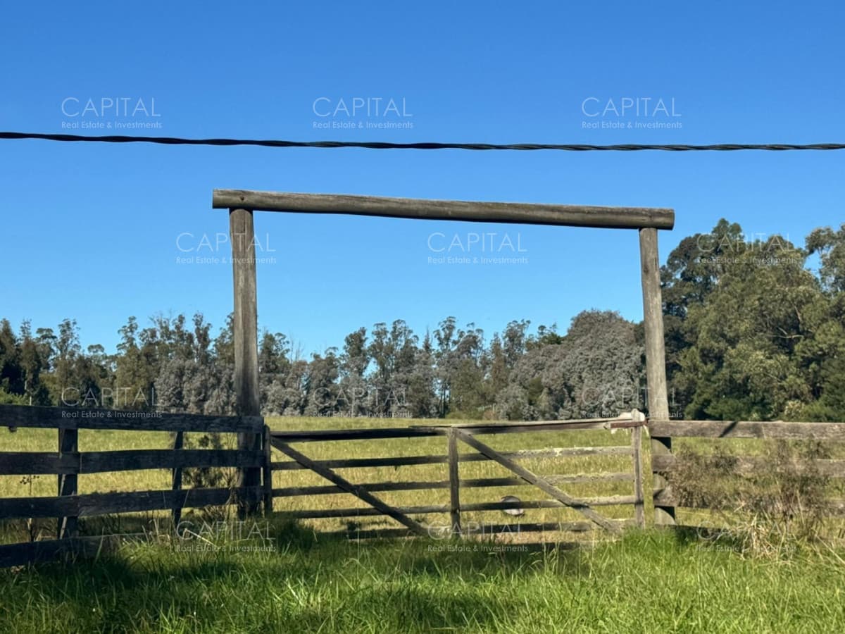 Venta Chacra 3 Hectareas en La Barra