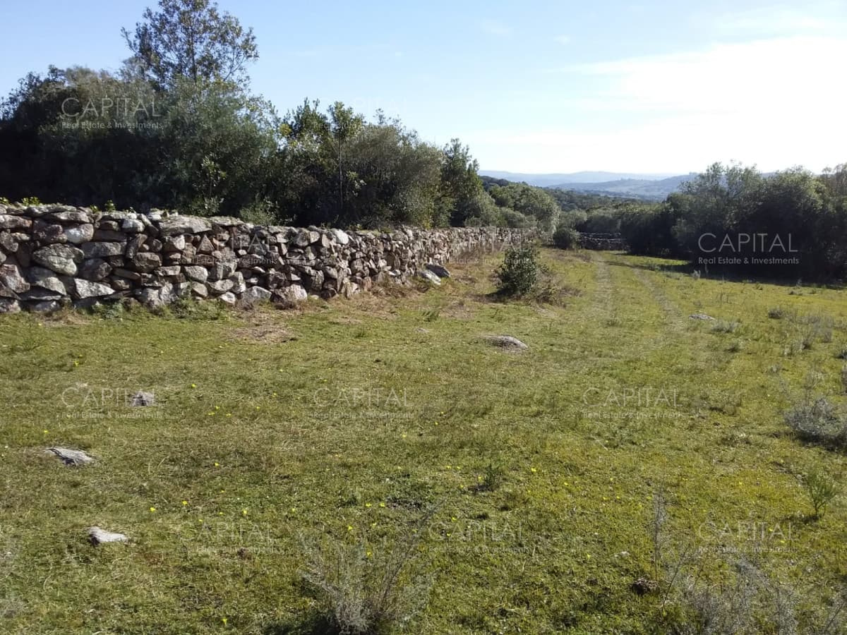 Chacra en Ruta 39, en venta