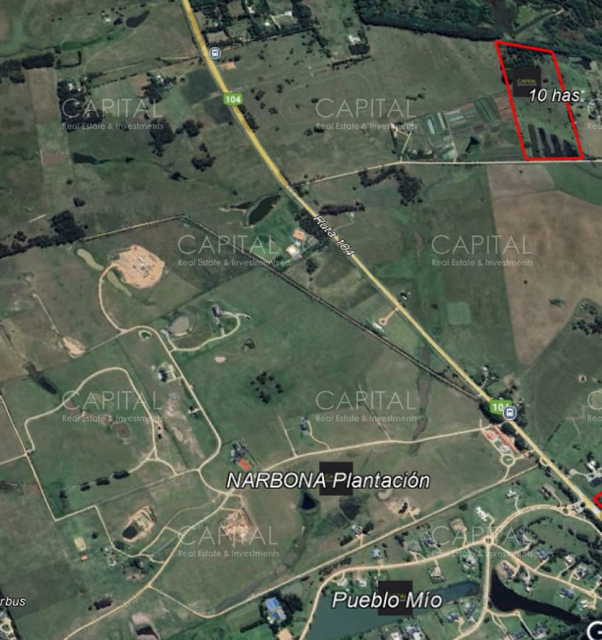 Chacra de 10 has próxima a ruta 104 próximo a MACA ,Pueblo Mío, NARBONA La Plantación