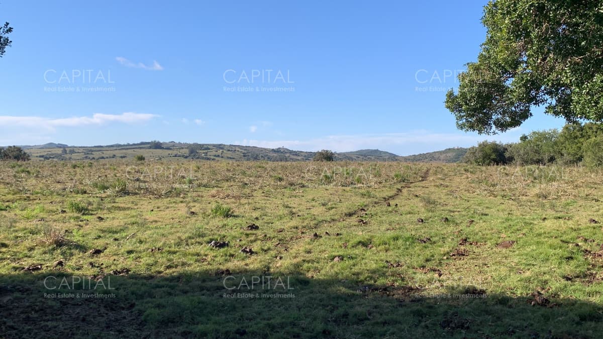 Chacra de 5 hectáreas , Pueblo Edén