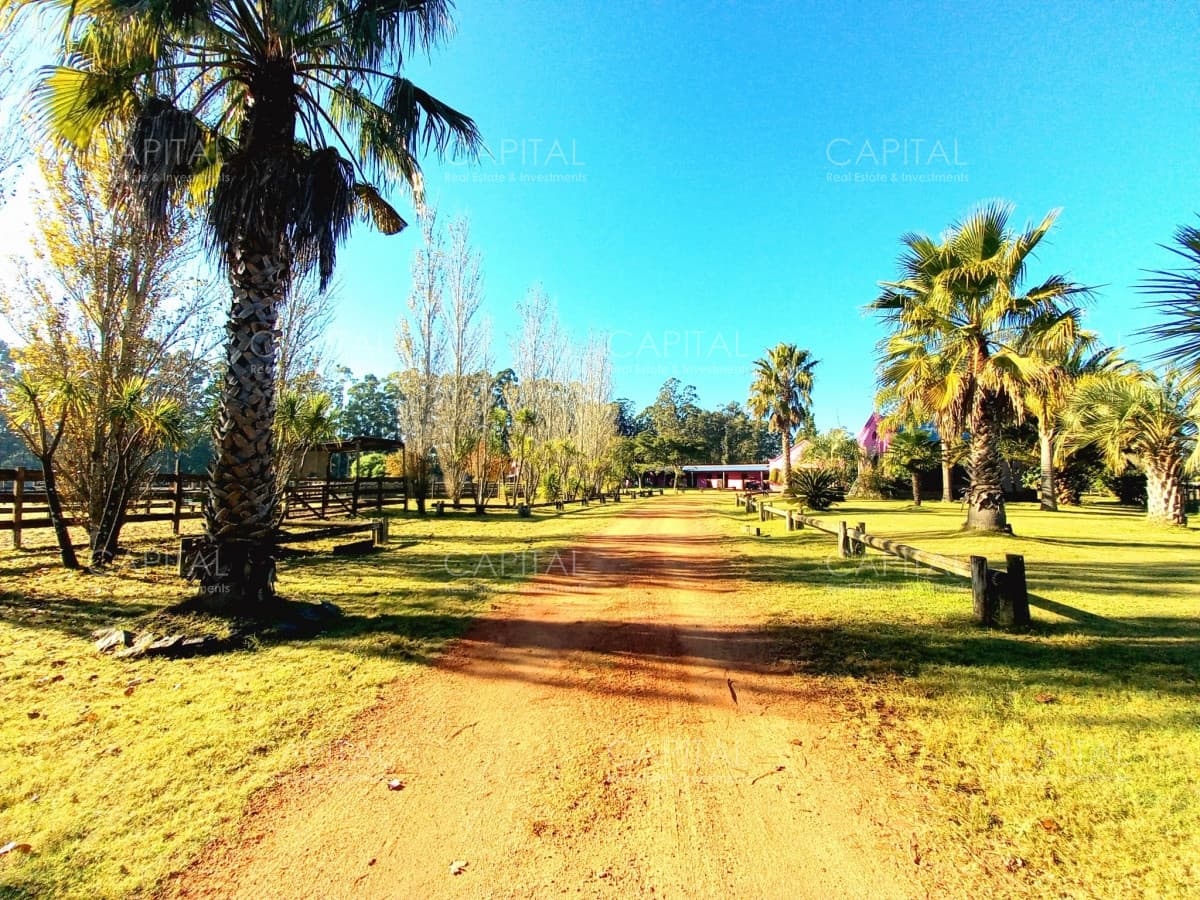 Espectacular Chacra en Venta La Pataia