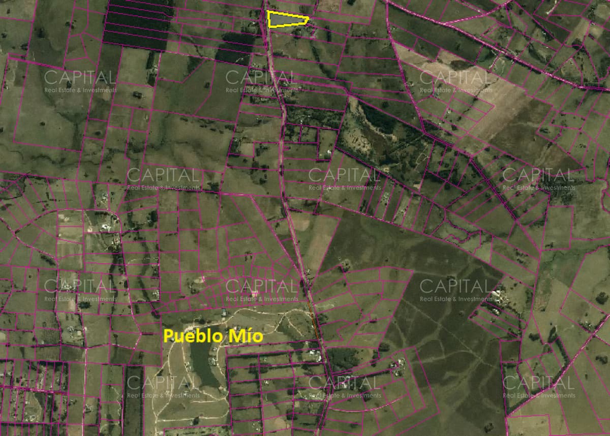 Chacra de 5 has sobre ruta 104 próximo Pueblo Mío, NARBONA La Plantación