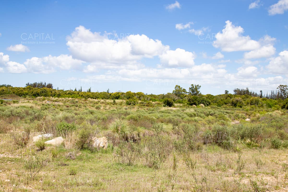 Excelente Chacra en venta - Ruta 9