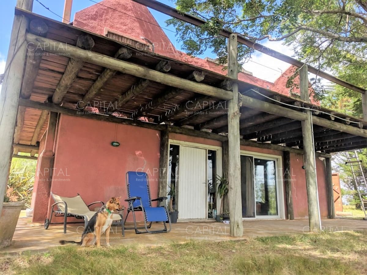 Muy buena chacra en venta - Ruta 39