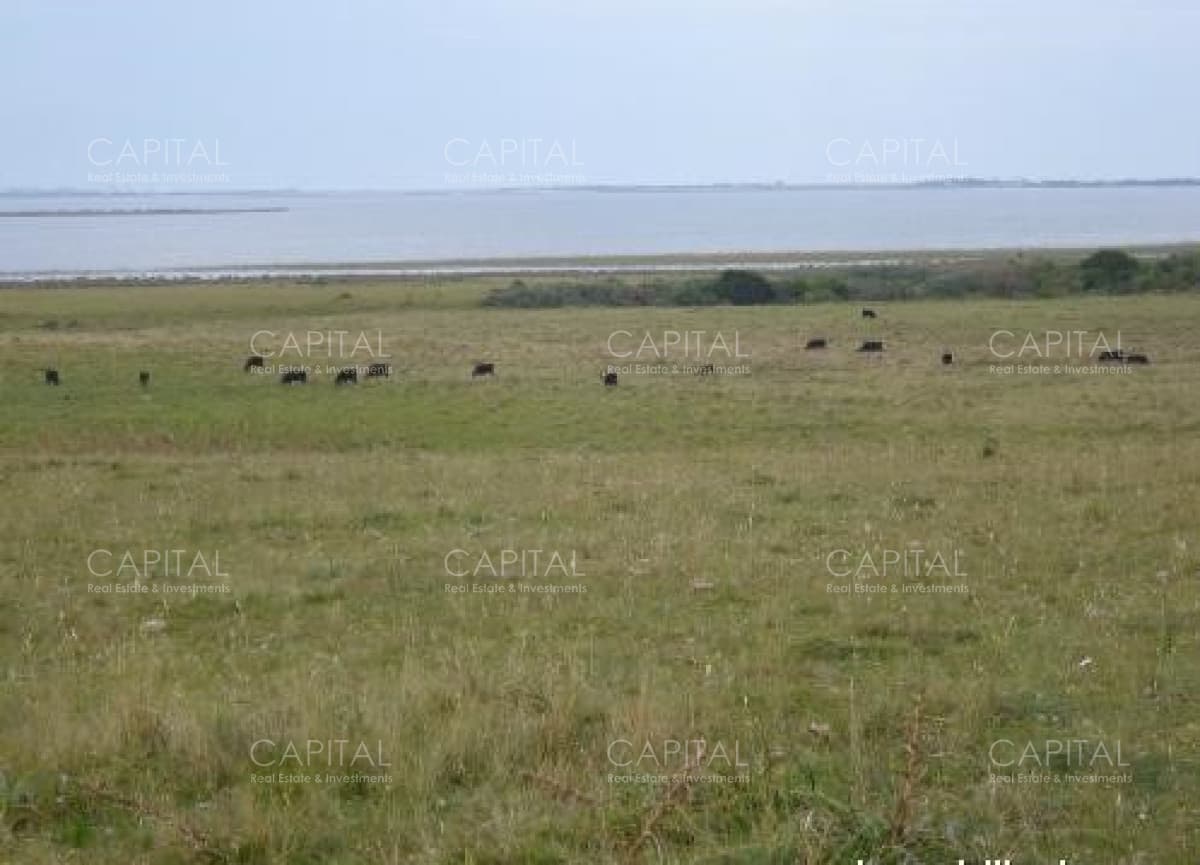 Excelente Chacra en Venta - Ruta 9