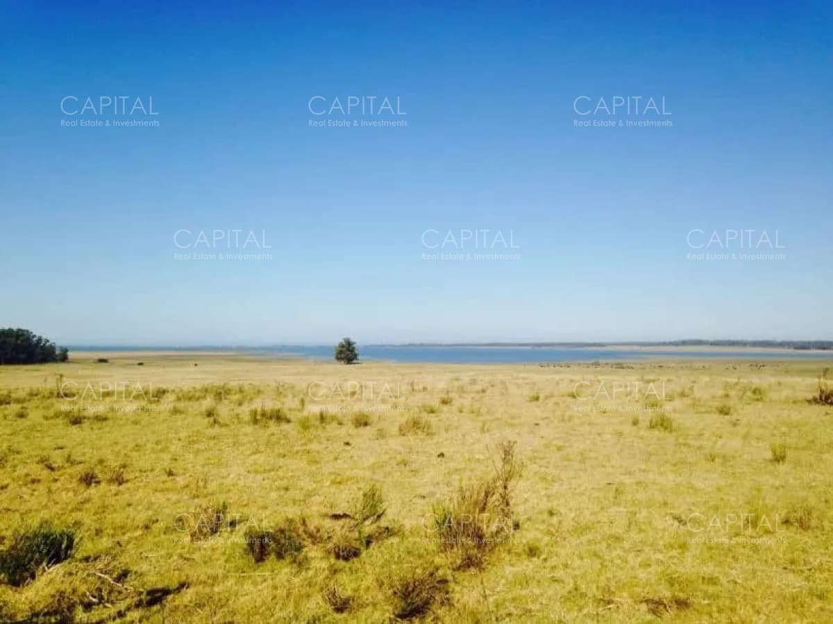 Excelente Chacra en Venta - Ruta 9