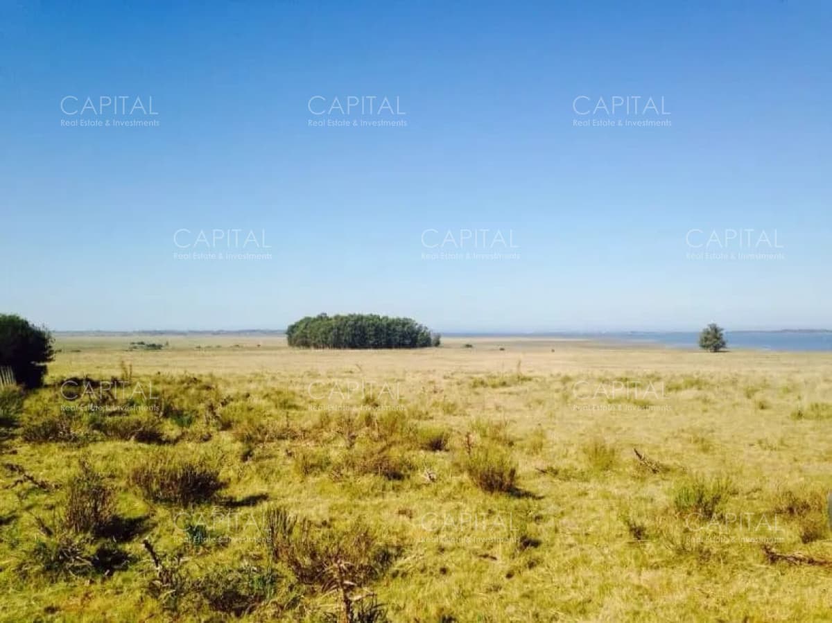 Excelente Chacra en Venta - Ruta 9