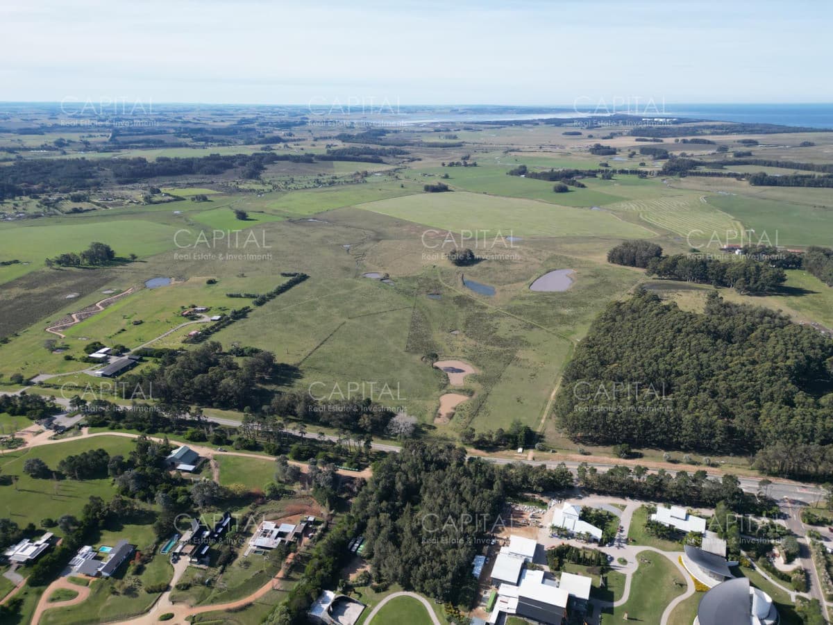Chacra Manantiales Ruta 104 43 hectareas en Venta Frente a MACA Atchugarry Pueblo Mio