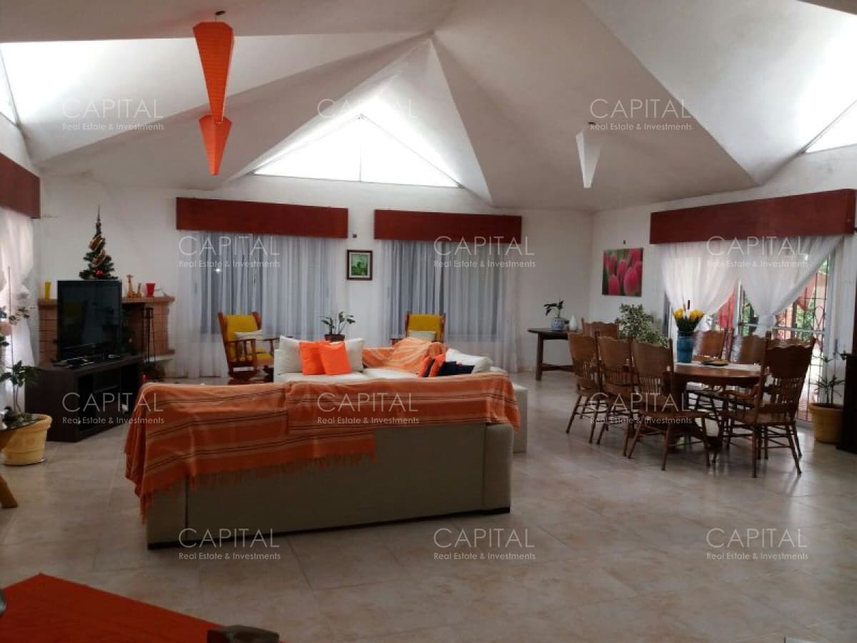 Venta de Chacra + Camino de los Ceibos, Punta del Este