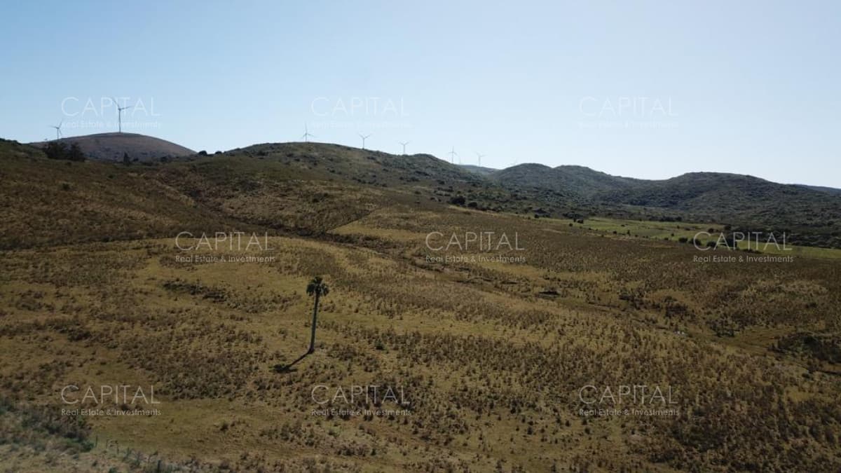 Chacra en las sierras por Ruta 39