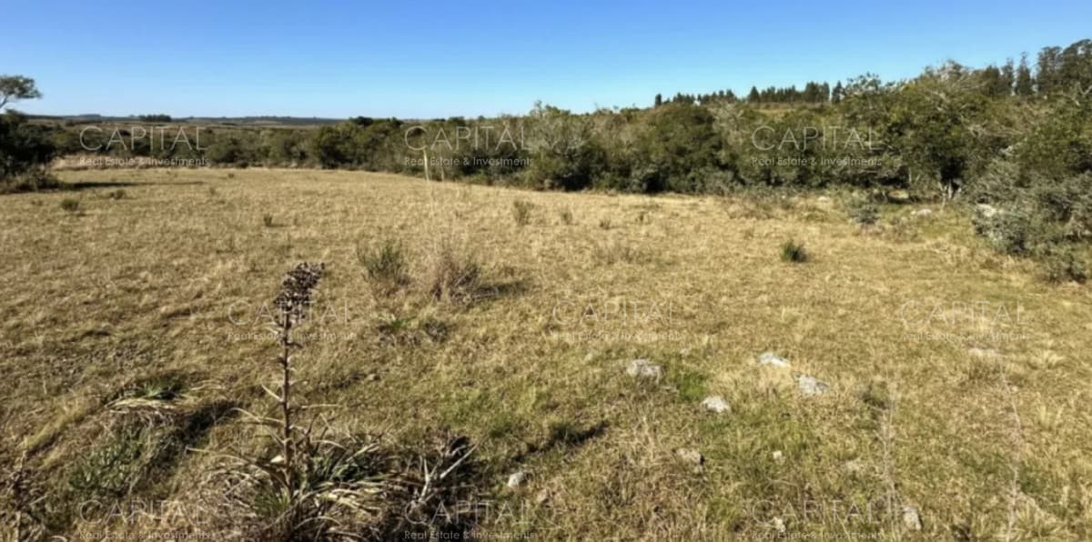 Chacra de 10 hectareas a pocos kilometros de Pueblo Garzón