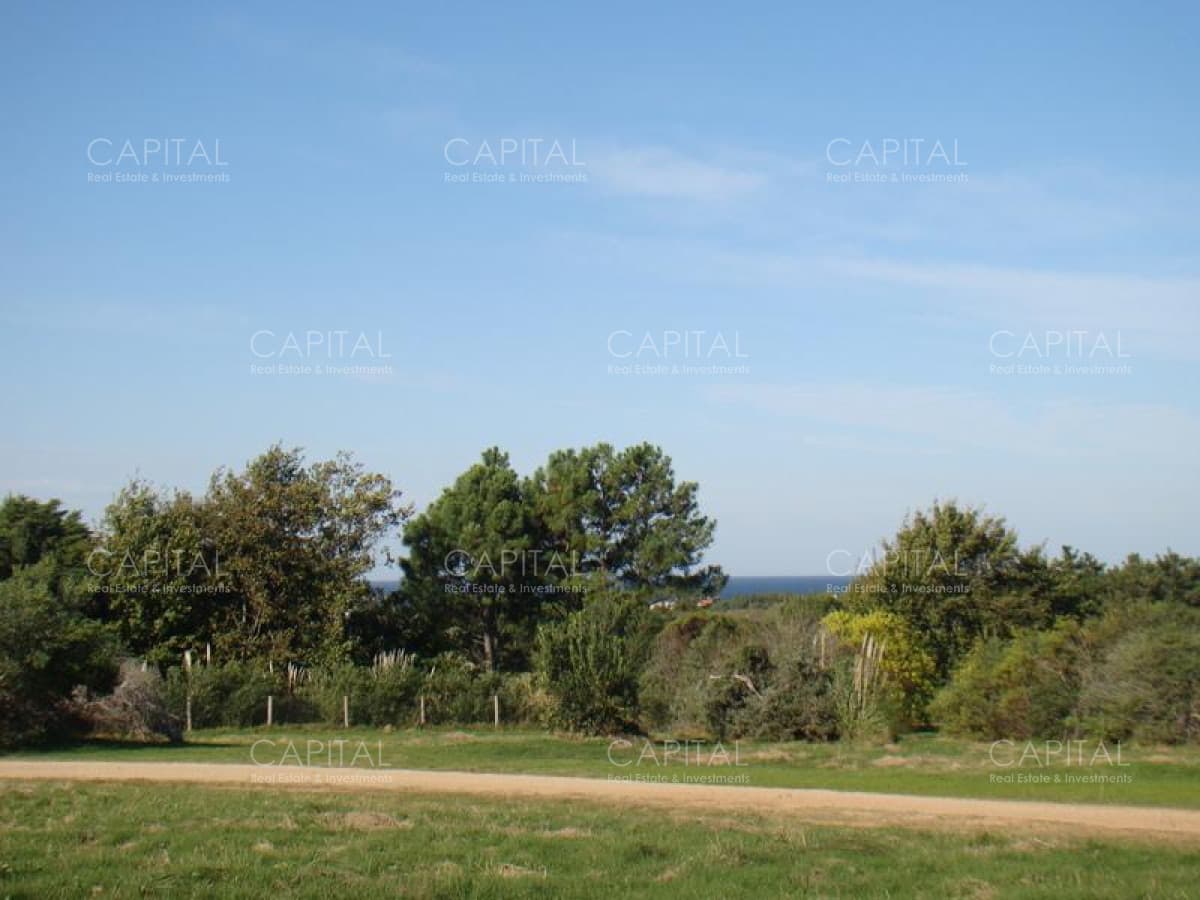 Lote en Venta Ruta 104 Mangrullos de Punta Piedra