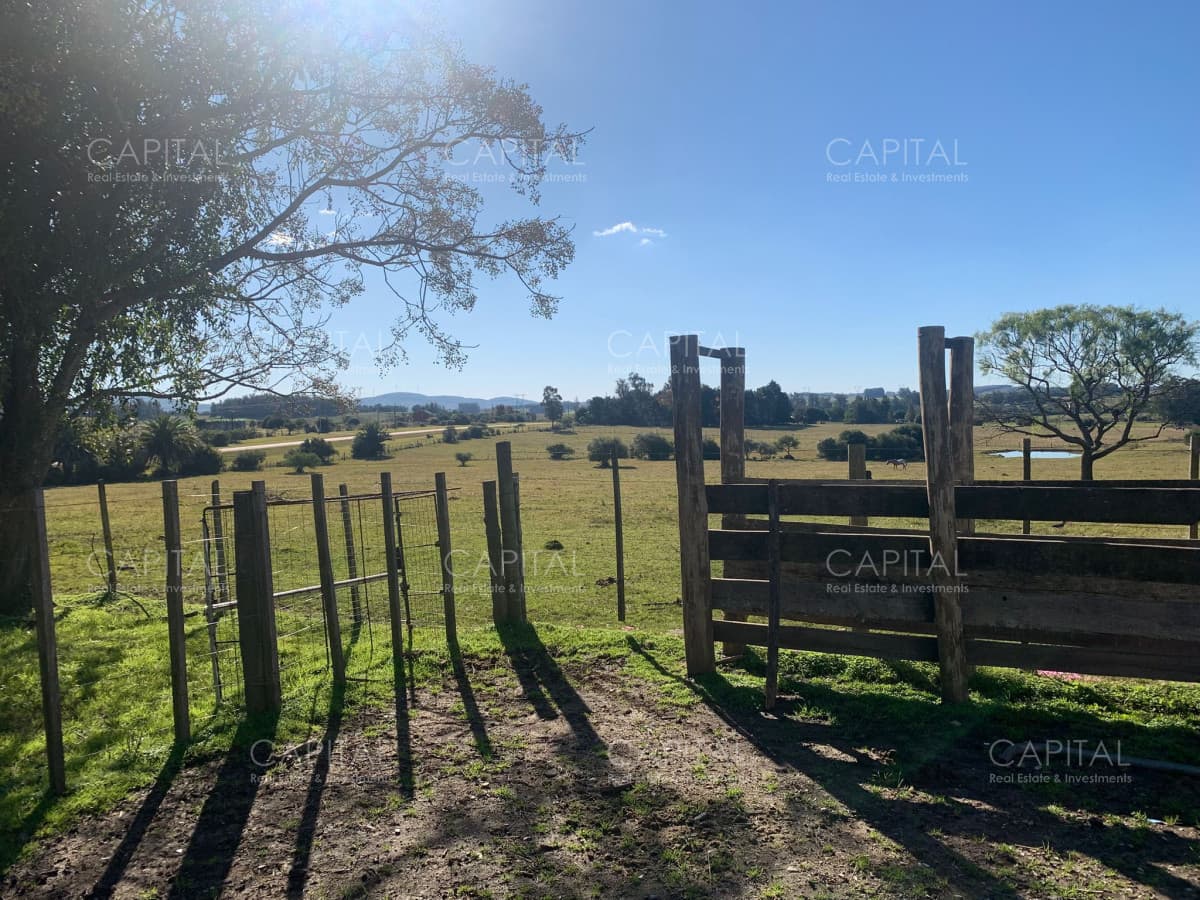 Chacra 5 has próxima a San Carlos
