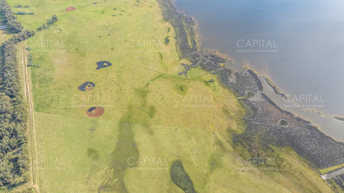 Chacra de 5 has sobre Laguna José Ignacio