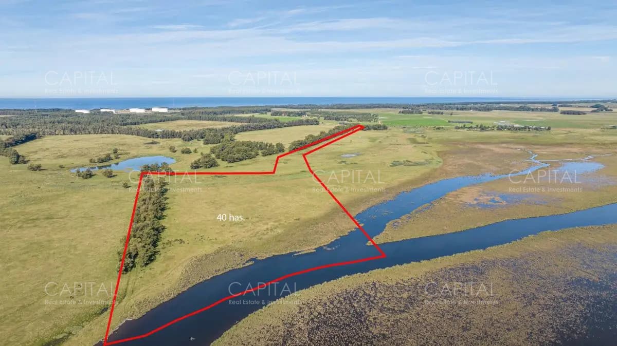 Chacra en Venta Jose Ignacio
