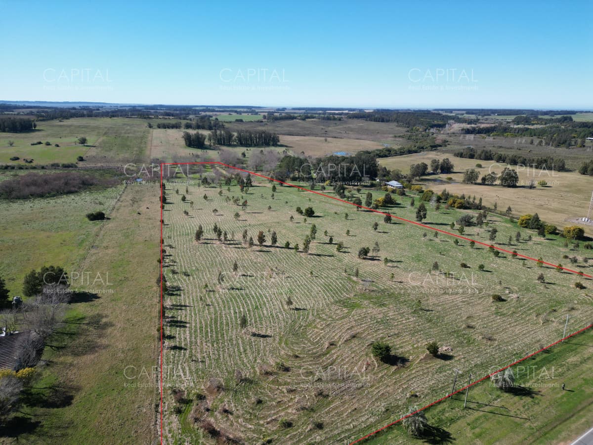 Chacra de 5 has sobre ruta 104 próximo Pueblo Mío, NARBONA La Plantación
