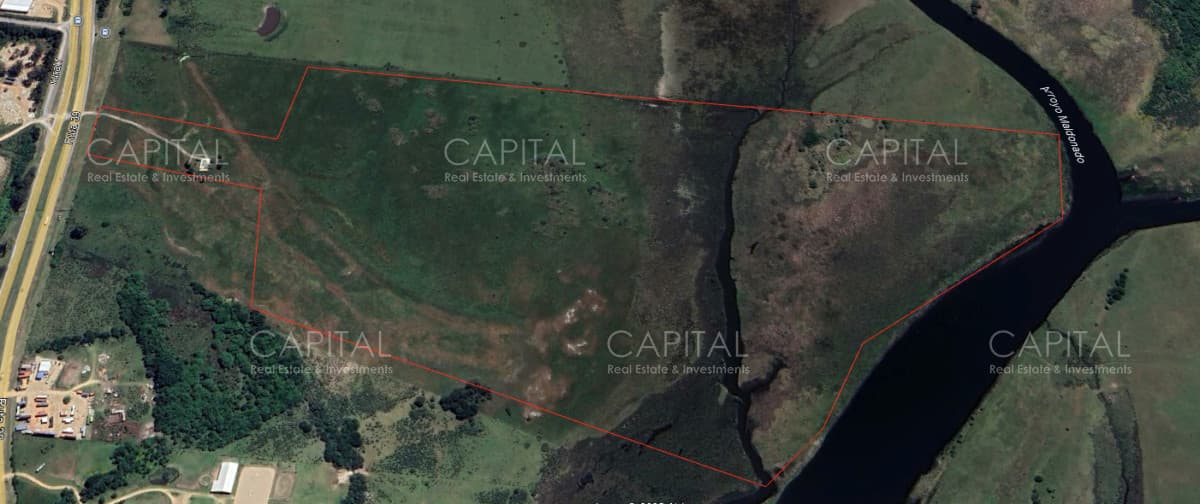 Chacra de 41 has sobre ruta 39