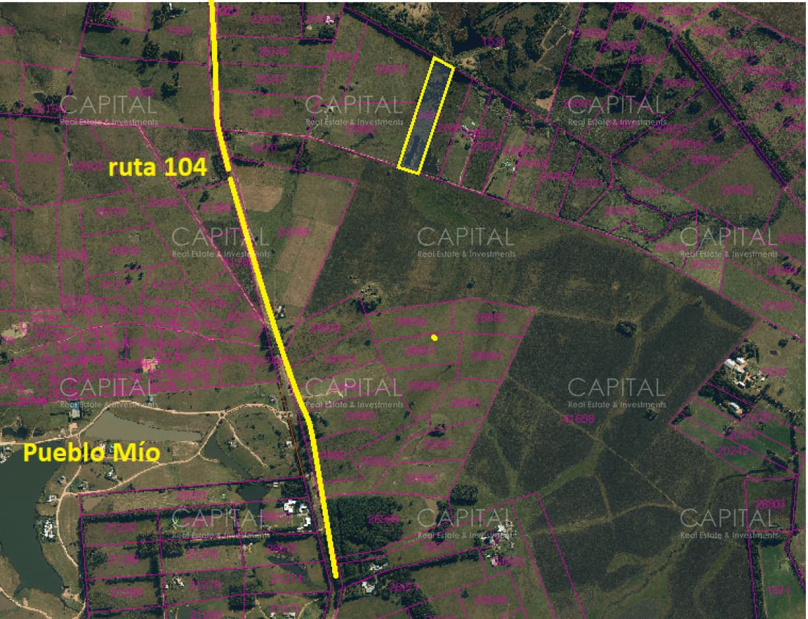 Chacra de 5 has sobre ruta 104 próximo a MACA ,Pueblo Mío, NARBONA La Plantación