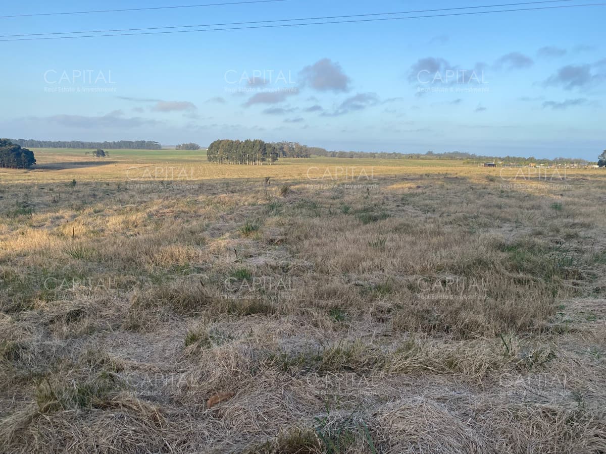 Chacra de 5 has sobre ruta 104 próximo a MACA ,Pueblo Mío, NARBONA La Plantación