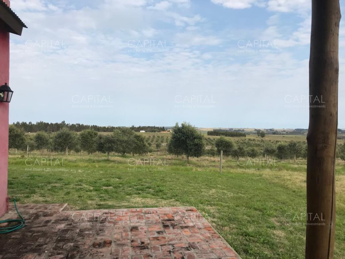 Chacra en Venta a 18km de Jose Ignacio