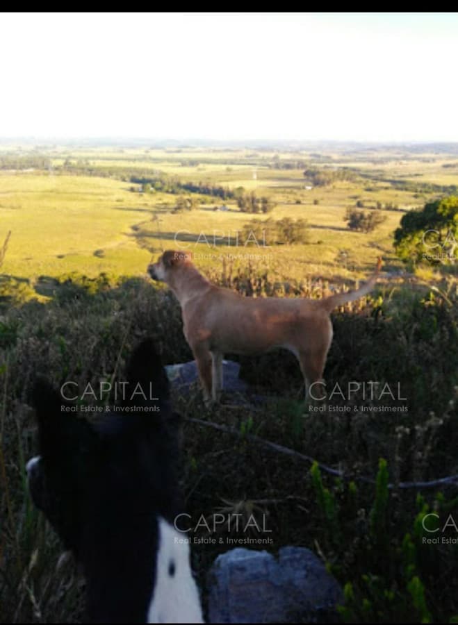 Campo de 39 hectareas en venta en Aiguá