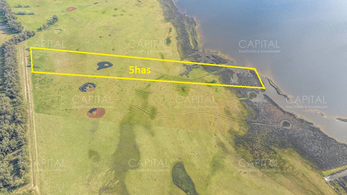 Chacra de 5 has sobre Laguna José Ignacio