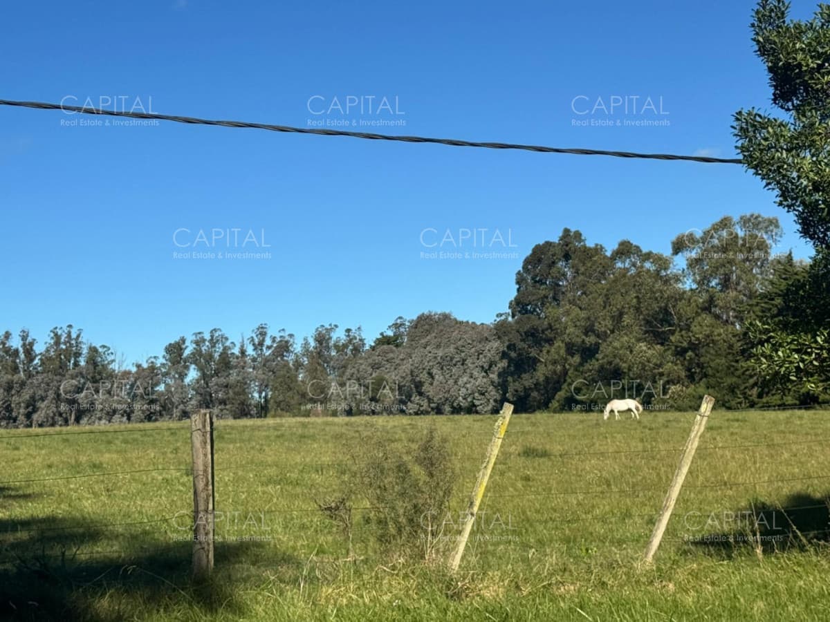 Venta Chacra 3 Hectareas en La Barra