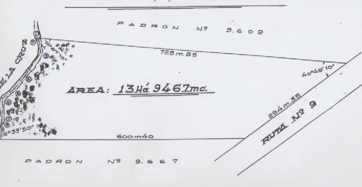 Excelente Chacra en Ruta 9 - Venta