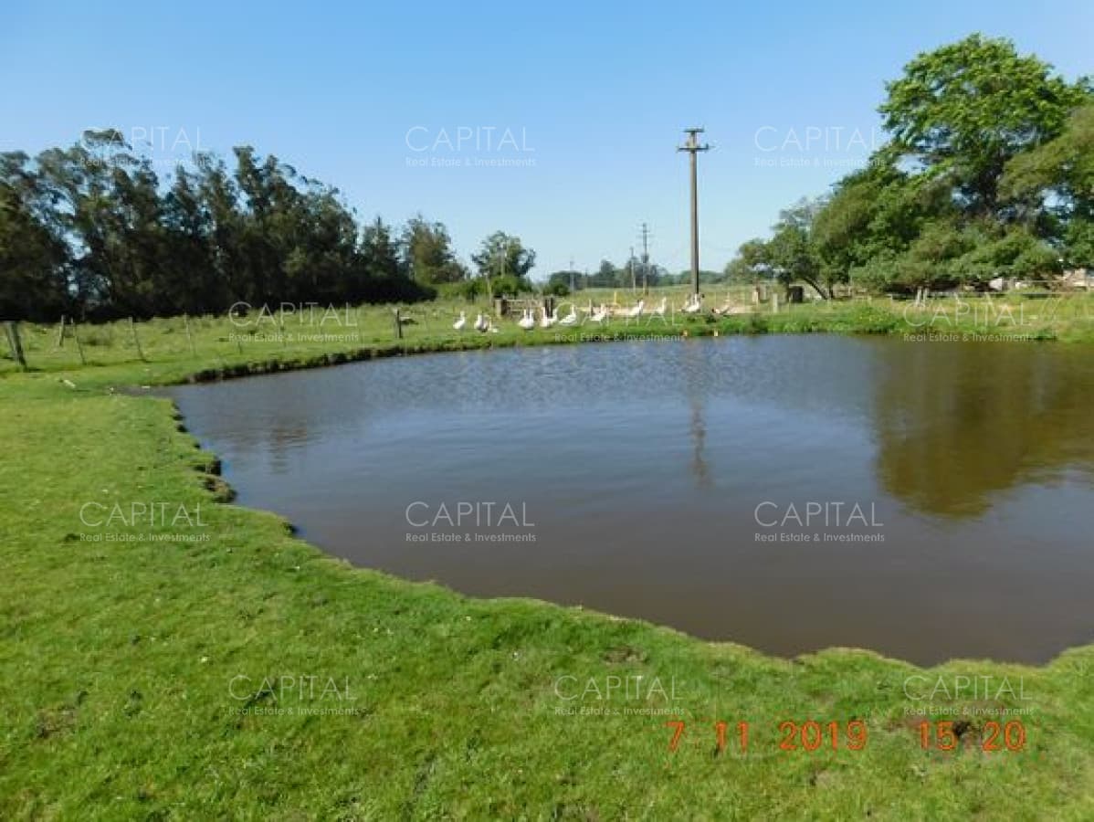 Chacra en venta de 5 has por Ruta 12, Punta del Este.