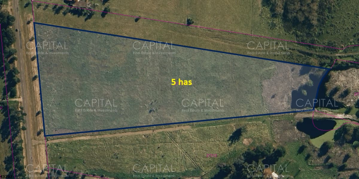 Chacra de 5 has sobre ruta 104 próximo Pueblo Mío, NARBONA La Plantación