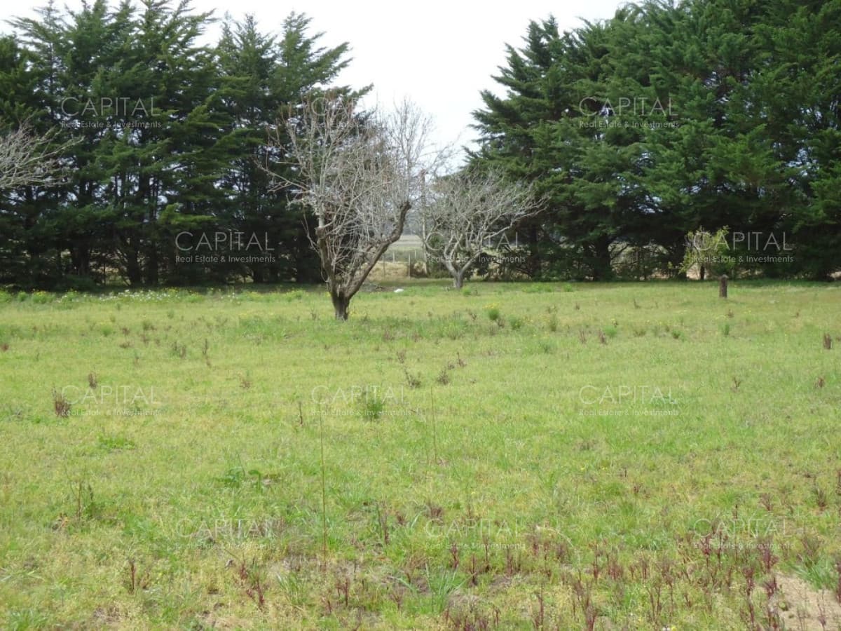 Excelente Chacra en venta en zona de La Pataia