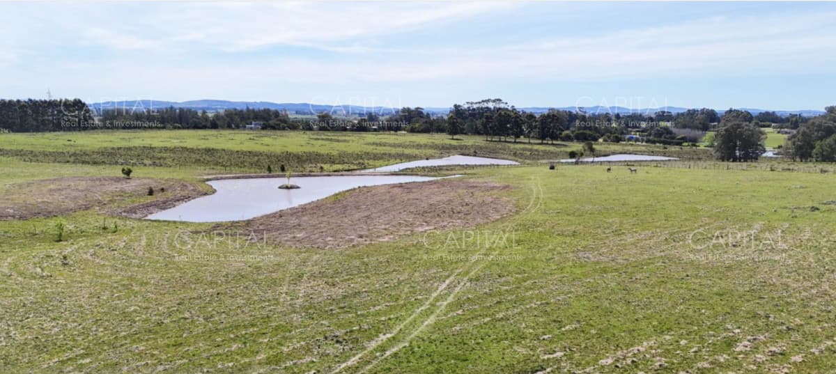 Chacra en venta 5 has en Camino Eguzquiza próxima al Quijote