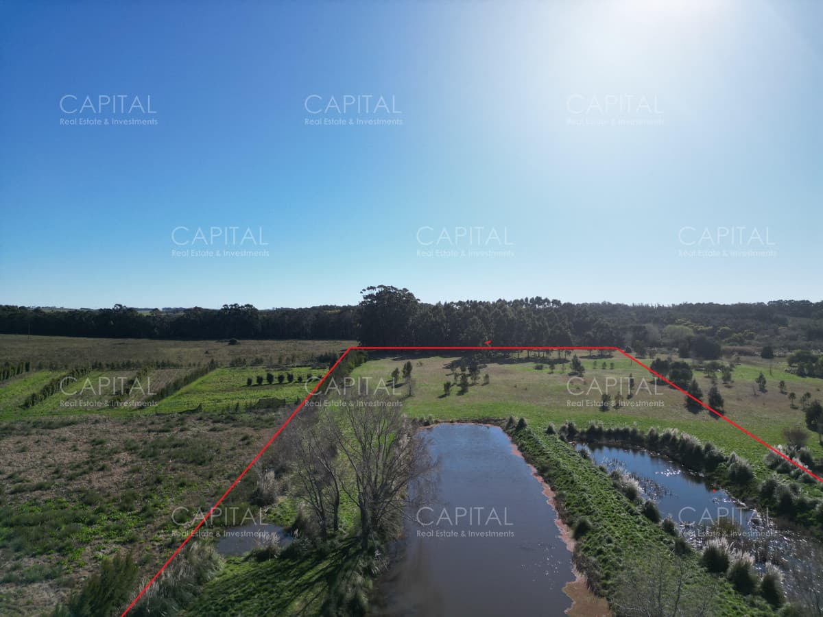 Chacra de 5 has sobre ruta 104 próximo a MACA ,Pueblo Mío, NARBONA La Plantación