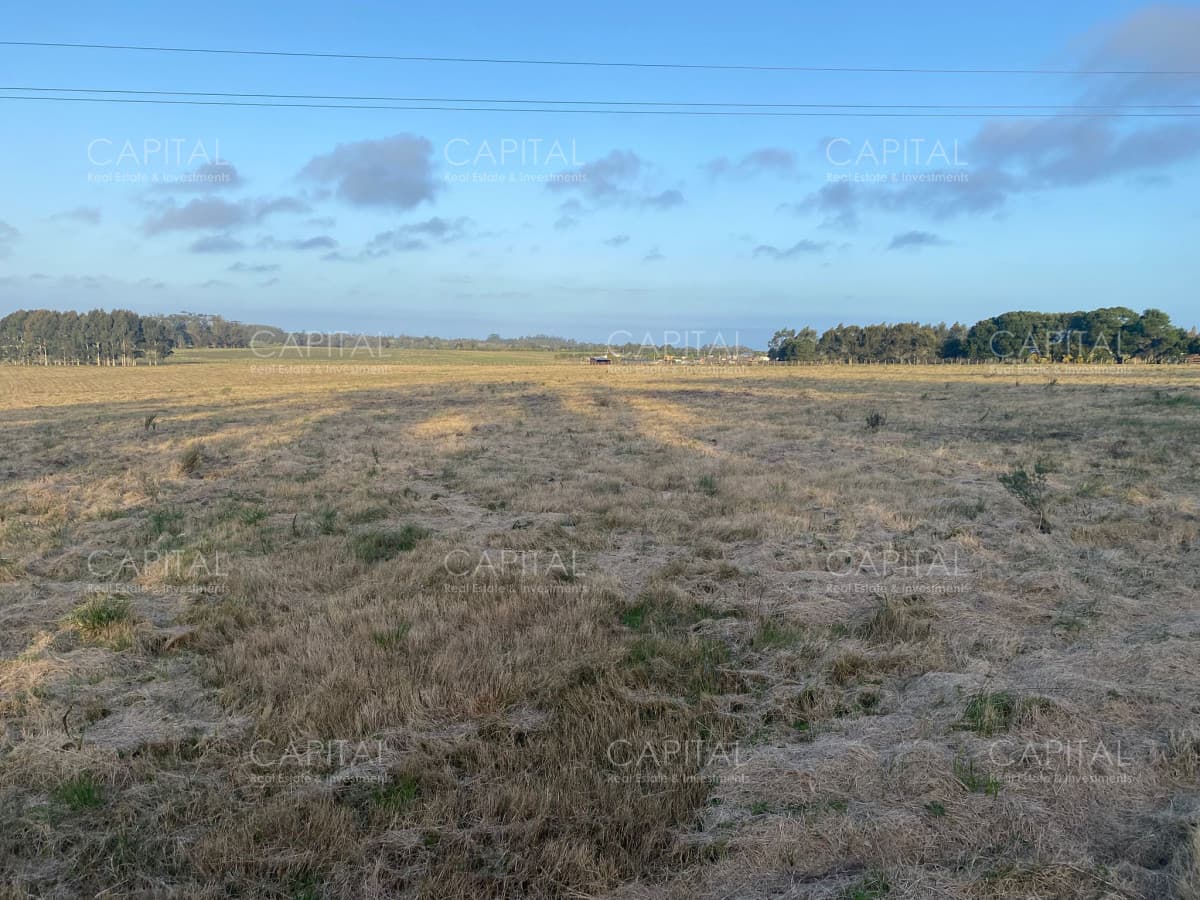 Chacra de 5 has sobre ruta 104 próximo a MACA ,Pueblo Mío, NARBONA La Plantación