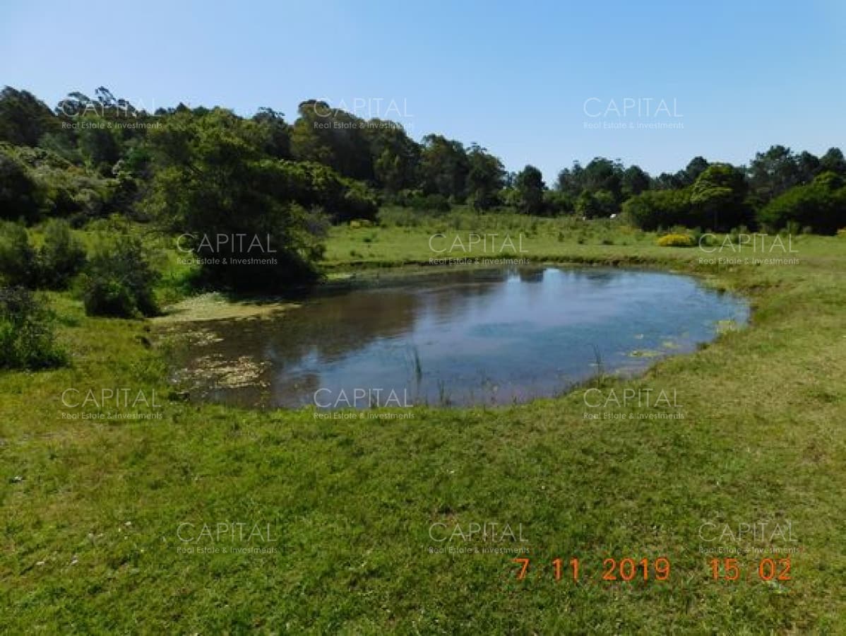 Chacra en venta de 5 has por Ruta 12, Punta del Este.