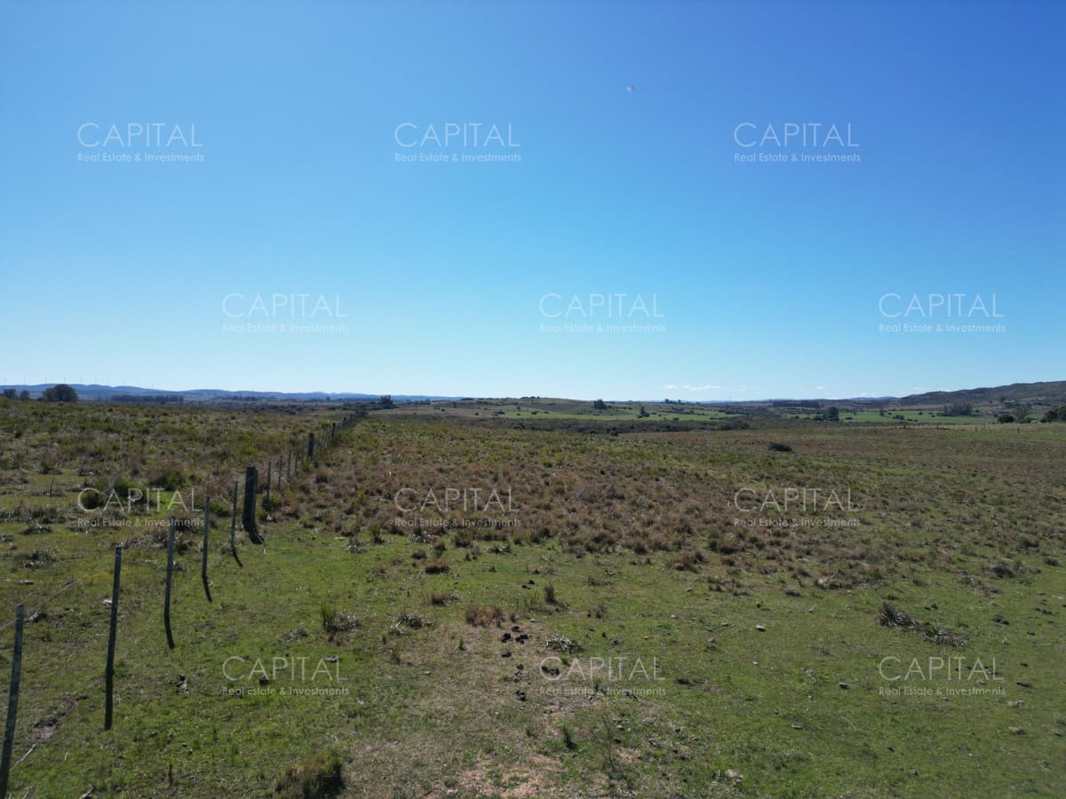 Chacra de 10 has próxima a ruta 39 con arroyo