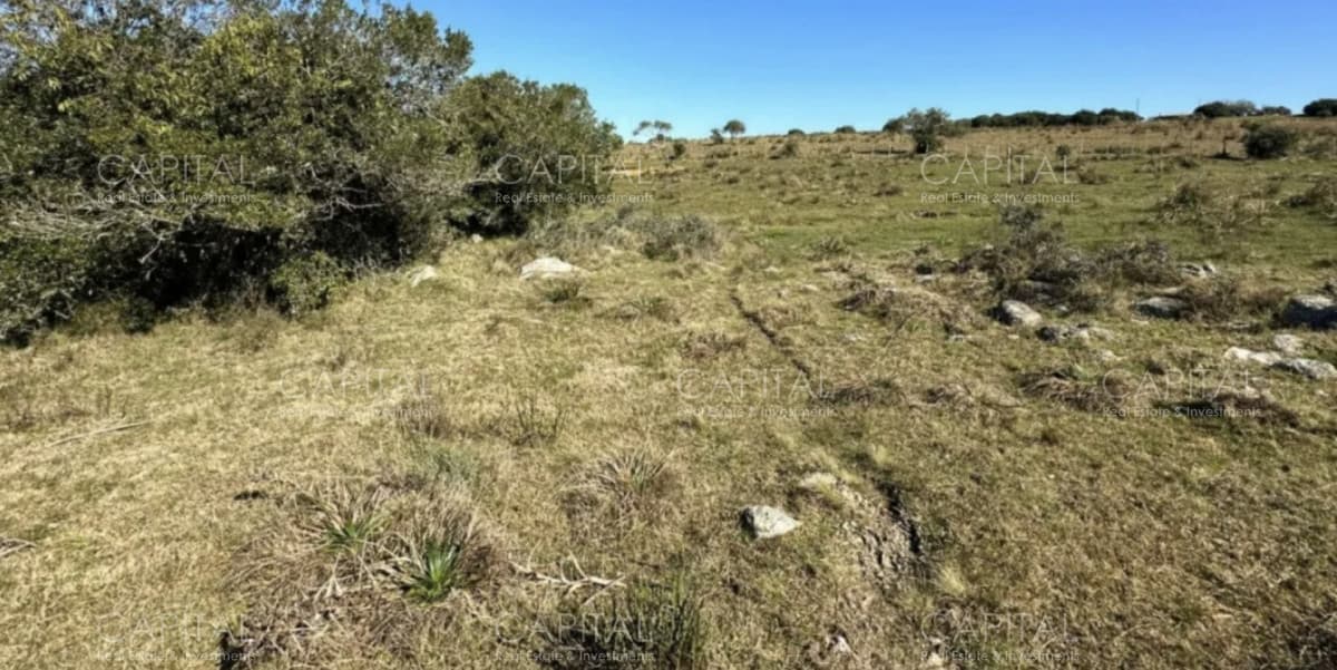 Chacra de 10 hectareas a pocos kilometros de Pueblo Garzón