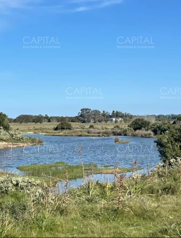Chacra en Venta en Jose Ignacio